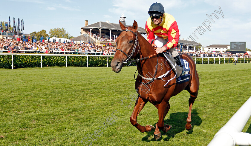 Sir-Ron-Priestley-0002 
 SIR RON PRIESTLEY (Franny Norton)
Doncaster 14 Sep 2019 - Pic Steven Cargill / Racingfotos.com