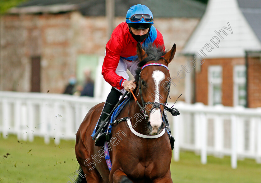 Glide-Down-0001 
 GLIDE DOWN (Martin Harley)
Salisbury 1 Oct 2020 - Pic Steven Cargill / Racingfotos.com