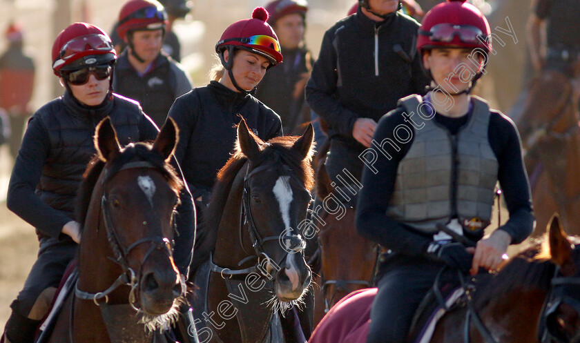 Auguste-Rodin-0008 
 AUGUSTE RODIN (centre) returns from training for the Breeders' Cup Turf with the rest of the Aidan O'Brien string
Santa Anita USA, 1 Nov 2023 - Pic Steven Cargill / Racingfotos.com