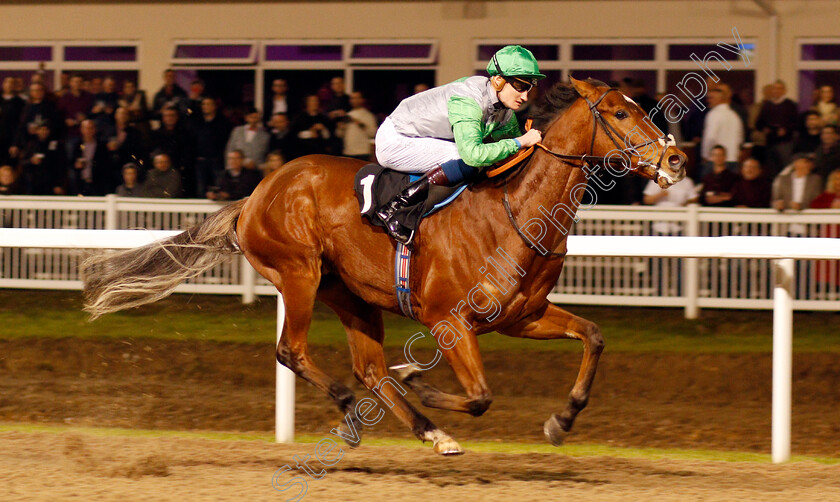 Artieshow-0002 
 ARTIESHOW (Daniel Muscutt) Chelmsford 21 Dec 2017 - Pic Steven Cargill / Racingfotos.com