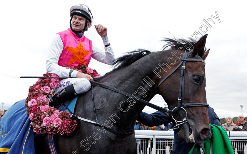 Square-De-Luynes-0014 
 SQUARE DE LUYNES (Robert Havlin) after The Stockholm Cup International
Bro Park, Sweden 22 Sep 2019 - Pic Steven Cargill / Racingfotos.com