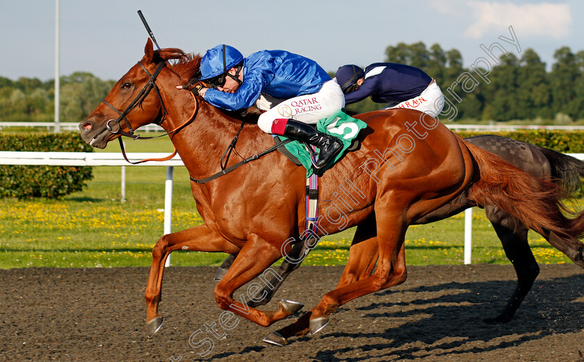 Mo assess-0004 
 MO'ASSESS (Oisin Murphy) wins The Unibet Casino Deposit £10 Get £40 Bonus Novice Stakes Div2
Kempton 4 Aug 2021 - Pic Steven Cargill / Racingfotos.com