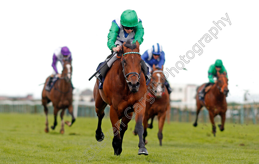 One-Master-0005 
 ONE MASTER (Ryan Moore) wins The Parkdean Resorts The Broads Maiden Stakes Yarmouth 19 Sep 2017 - Pic Steven Cargill / Racingfotos.com