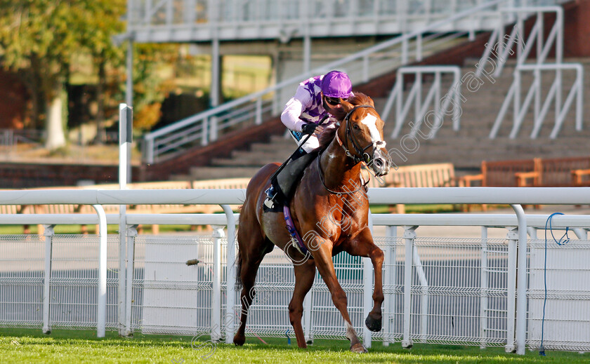 Amarillo-Star-0004 
 AMARILLO STAR (Stevie Donohoe) wins The tote.co.uk Home Of The Placepot Handicap
Goodwood 11 Oct 2020 - Pic Steven Cargill / Racingfotos.com