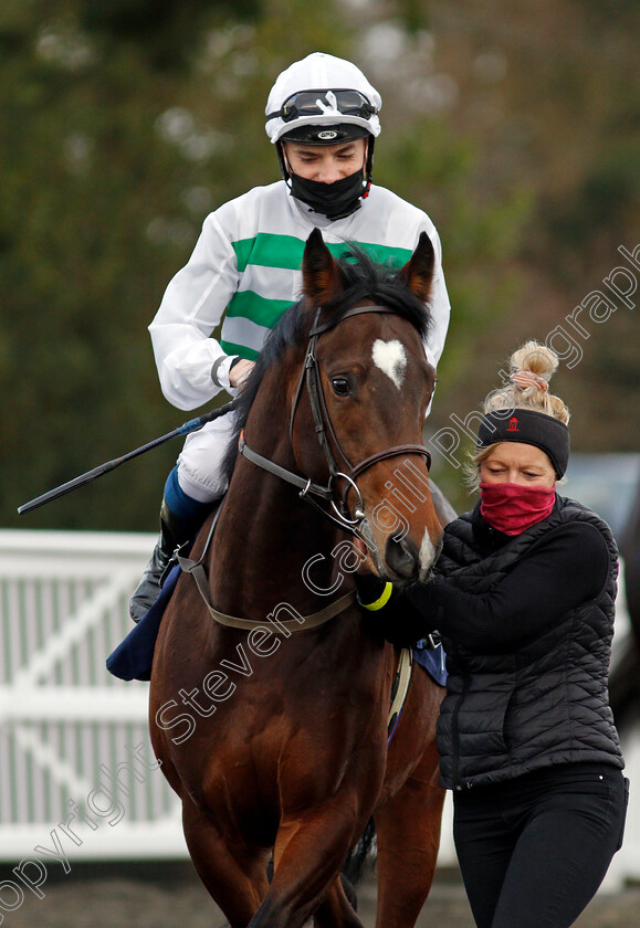 Alvarino-0002 
 ALVARINO (Callum Shepherd)
Lingfield 19 Dec 2020 - Pic Steven Cargill / Racingfotos.com