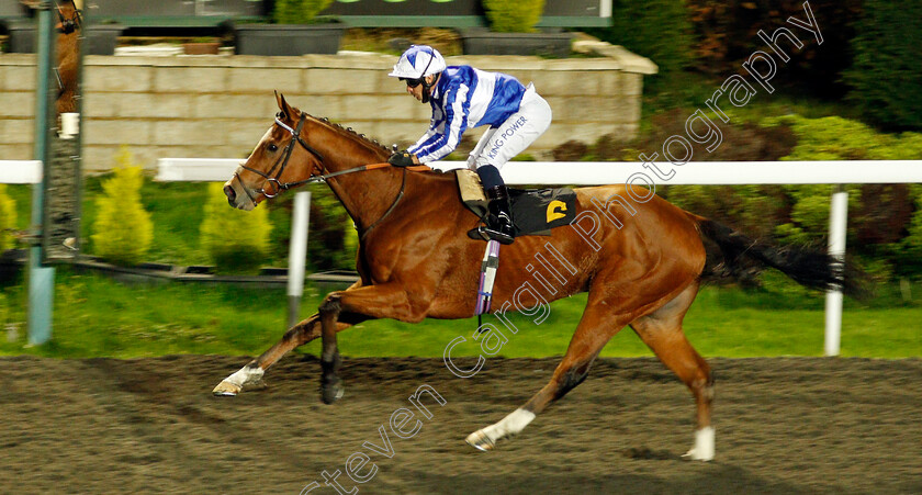 Johnny-Drama-0004 
 JOHNNY DRAMA (Silvestre de Sousa) wins The Try Our New Super Boosts At Unibet Handicap
Kempton 2 Nov 2020 - Pic Steven Cargill / Racingfotos.com