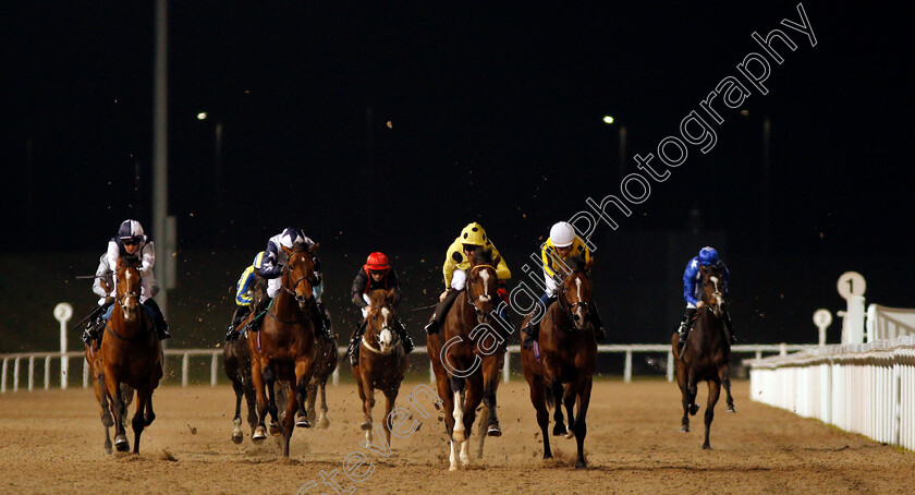 Noble-Expression-0001 
 NOBLE EXPRESSION (centre, Jack Mitchell) wins The Weatherbys General Stud Book Online EBF Novice Stakes Chelmsford 23 Nov 2017 - Pic Steven Cargill / Racingfotos.com