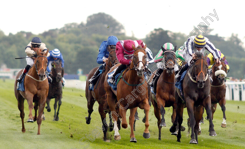 El-Astronaute-0002 
 EL ASTRONAUTE (centre, Rossa Ryan) beats FINAL VENTURE (right) in The Sky Bet & Symphony Group Handicap
York 22 Aug 2018 - Pic Steven Cargill / Racingfotos.com