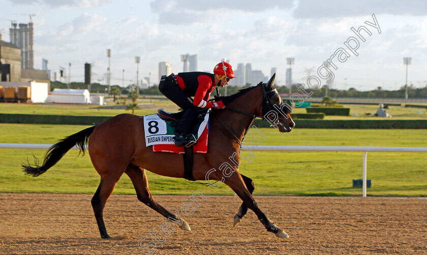 Russian-Emperor-0003 
 RUSSIAN EMPEROR training for the Sheema Classic
Meydan, Dubai, 23 Mar 2023 - Pic Steven Cargill / Racingfotos.com