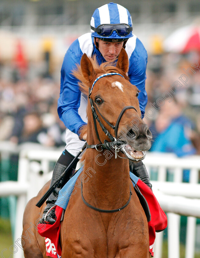 Taqdeer-0001 
 TAQDEER (Jim Crowley) Doncaster 24 Mar 2018 - Pic Steven Cargill / Racingfotos.com