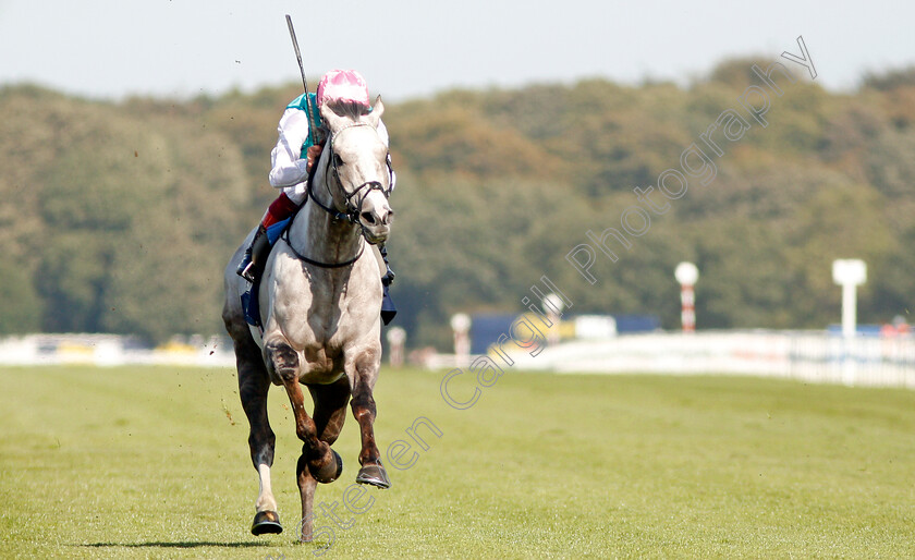 Logician-0015 
 LOGICIAN (Frankie Dettori) wins The William Hill St Leger Stakes
Doncaster 14 Sep 2019 - Pic Steven Cargill / Racingfotos.com