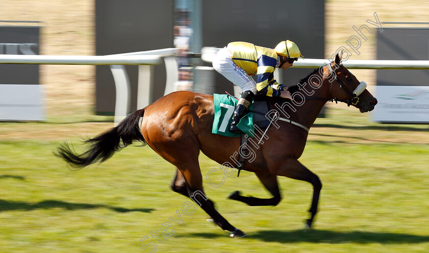 Burtonwood-0002 
 BURTONWOOD (Callum Rodriguez) wins The Beer Festival Evening @Thirskraces Handicap
Thirsk 4 Jul 2018 - Pic Steven Cargill / Racingfotos.com