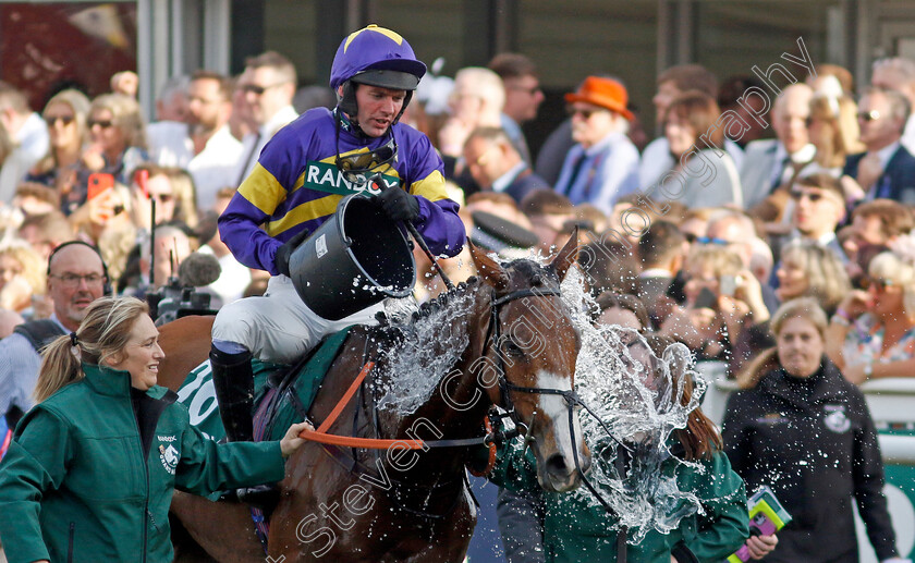 Corach-Rambler-0016 
 CORACH RAMBLER (Derek Fox) after winning The Randox Grand National
Aintree 15 Apr 2023 - Pic Steven Cargill / Racingfotos.com