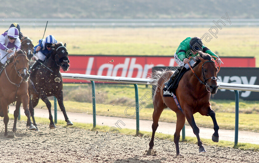 Kachy-0004 
 KACHY (Richard Kingscote) wins The Betway Cleves Stakes
Lingfield 2 Feb 2019 - Pic Steven Cargill / Racingfotos.com