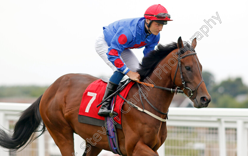 Larrsen 
 LARRSEN (Rhys Clutterbuck)
Sandown 21 Jul 2022 - Pic Steven Cargill / Racingfotos.com