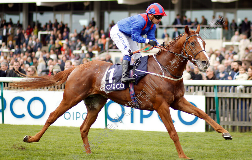 Nayef-Road-0005 
 NAYEF ROAD (Silvestre De Sousa) wins The Qipco Supporting British Racing Handicap
Newmarket 5 May 2019 - Pic Steven Cargill / Racingfotos.com