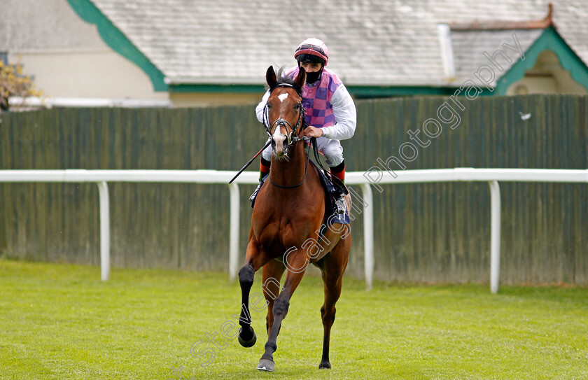 Tolstoy-0002 
 TOLSTOY (Martin Harley) winner of The British Stallion Studs EBF Novice Stakes
Yarmouth 19 May 2021 - Pic Steven Cargill / Racingfotos.com