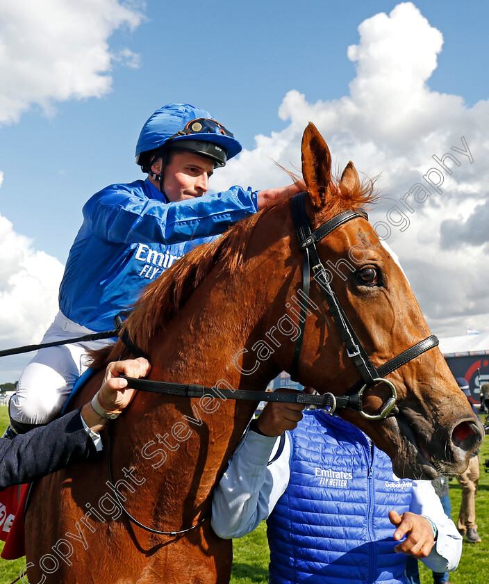 Desert-Flower-0007 
 DESERT FLOWER (William Buick) winner of The Betfred May Hill Stakes
Doncaster 12 Sep 2024 - Pic Steven Cargill / Racingfotos.com