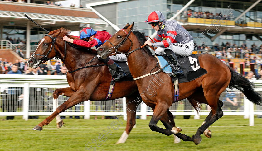 White-Mocha-0004 
 WHITE MOCHA (left, James Doyle) beats KNIGHT TO BEHOLD (right) in The Haynes Hanson & Clark Stakes Newbury 22 Sep 2017 - Pic Steven Cargill / Racingfotos.com