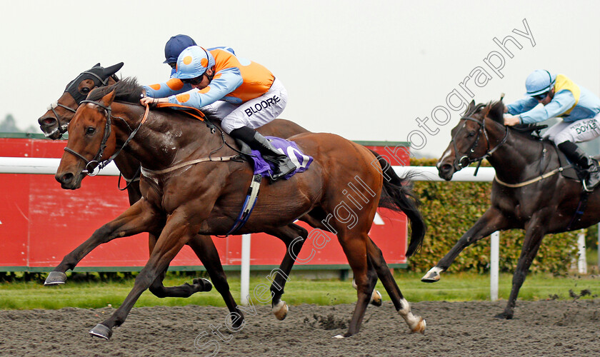 Jaywalker-0002 
 JAYWALKER (Martin Harley) wins The Matchbook Casino Handicap Kempton 25 Sep 2017 - Pic Steven Cargill / Racingfotos.com