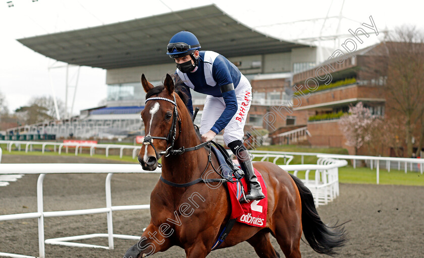 Global-Giant-0003 
 GLOBAL GIANT (Robert Havlin) winner of The Ladbrokes Magnolia Stakes 
Kempton 27 mar 2021 - Pic Steven Cargill / Racingfotos.com