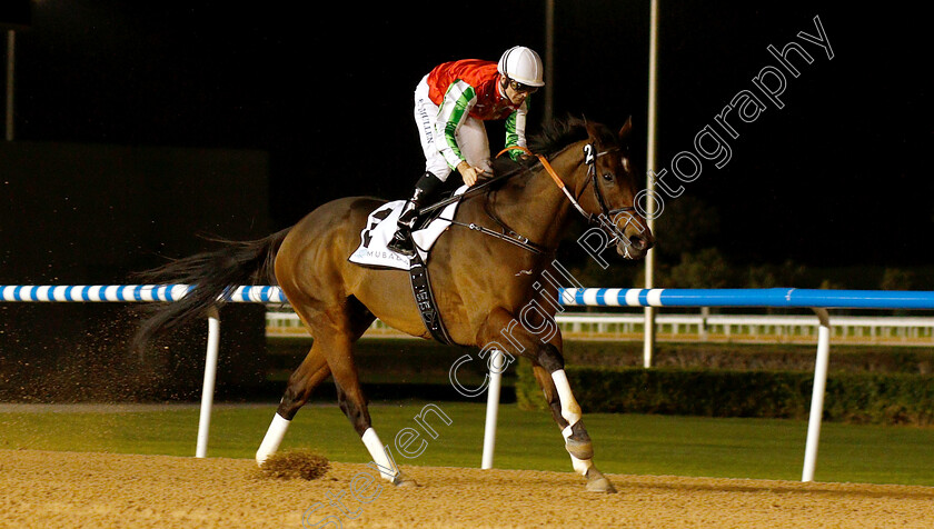 North-America-0003 
 NORTH AMERICA (Richard Mullen) wins The Al Maktoum Challenge (Round 1)
Meydan 10 Jan 2019 - Pic Steven Cargill / Racingfotos.com