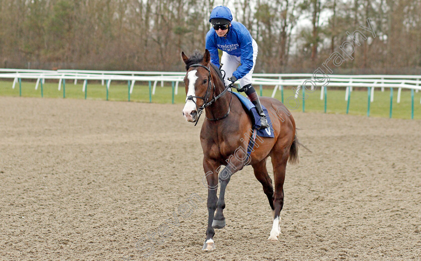 Pitcher s-Point-0001 
 PITCHER'S POINT (Robert Havlin) winner of The Ladbrokes Where The Nation Plays Novice Stakes
Lingfield 4 Mar 2020 - Pic Steven Cargill / Racingfotos.com