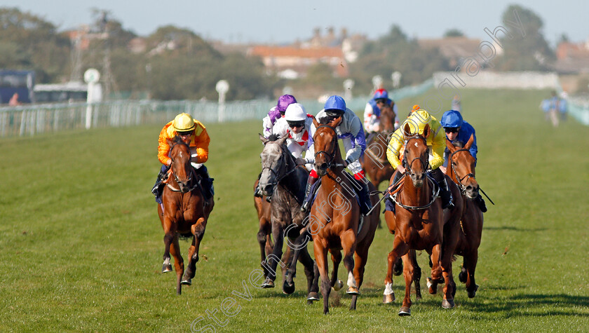 Summer-Moon-0006 
 SUMMER MOON (yellow, Ryan Moore) wins The Dan Hague Betting On The Rails Handicap
Yarmouth 19 Sep 2019 - Pic Steven Cargill / Racingfotos.com