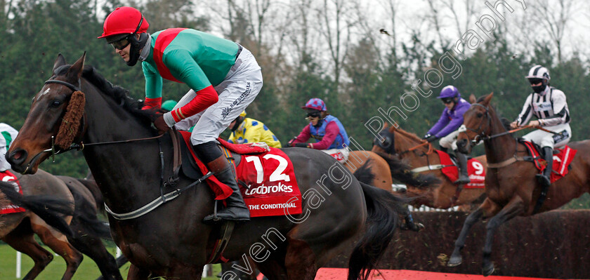 The-Conditional-0001 
 THE CONDITIONAL (Brendan Powell)
Newbury 28 Nov 2020 - Pic Steven Cargill / Racingfotos.com