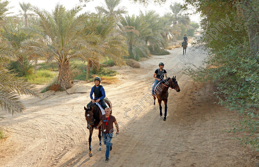 Penja-&-Magny-Cours-0003 
 PENJA leading MAGNY COURS to the track in preparation for Friday's Bahrain International Trophy
Sakhir Racecourse, Bahrain 16 Nov 2021 - Pic Steven Cargill / Racingfotos.com