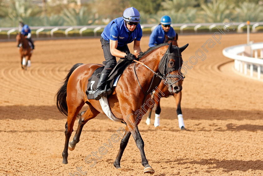 Noble-Truth-0001 
 NOBLE TRUTH training for The Saudi Derby
King Abdulaziz Racetrack, Riyadh, Saudi Arabia 24 Feb 2022 - Pic Steven Cargill / Racingfotos.com