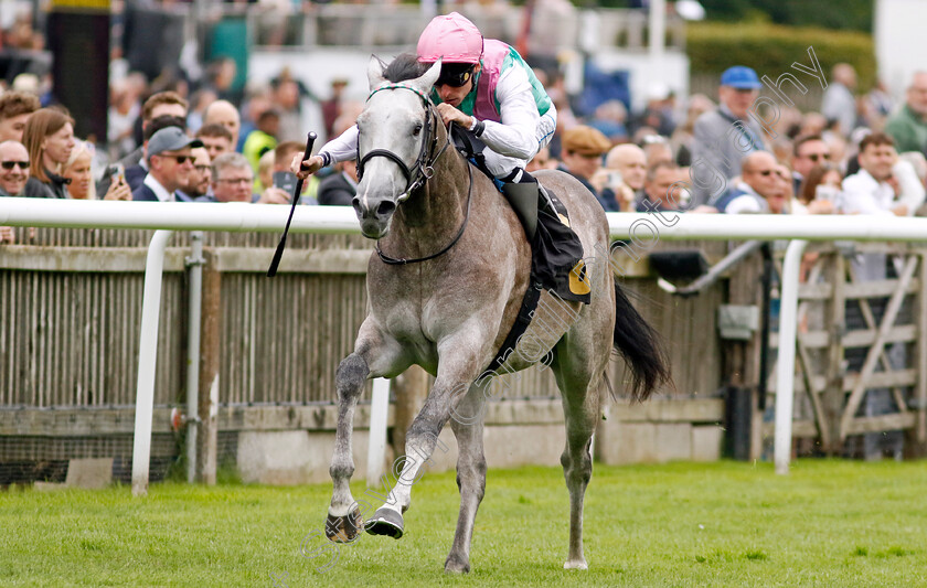 Field-Of-Gold-0003 
 FIELD OF GOLD (Kieran Shoemark) wins The Weatherbys British EBF Maiden Stakes
Newmarket 12 Jul 2024 - pic Steven Cargill / Racingfotos.com