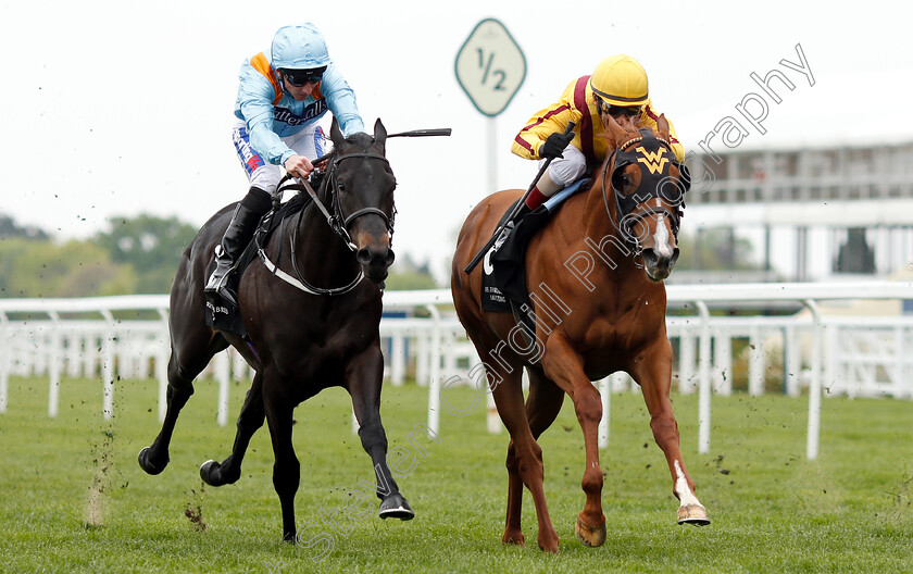 Ventura-Rebel-0006 
 VENTURA REBEL (left, Paul Hanagan) beats LADY PAULINE (right) in The Irish Thoroughbred Marketing Royal Ascot Two-Year-Old Trial Stakes
Ascot 1 May 2019 - Pic Steven Cargill / Racingfotos.com