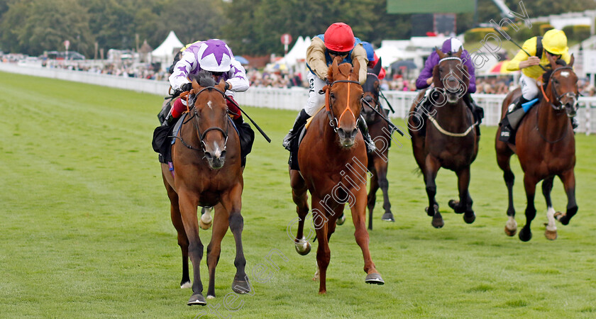 Kinross-0003 
 KINROSS (left, Frankie Dettori) beats ISAAC SHELBY (centre) in The World Pool Lennox Stakes
Goodwood 1 Aug 2023 - Pic Steven Cargill / Racingfotos.com