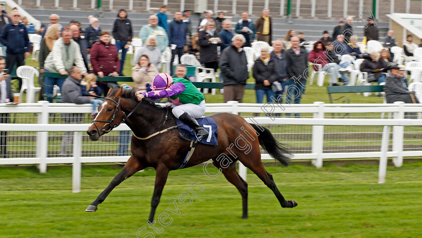 Bush-Rose-0004 
 BUSH ROSE (John Egan) wins The Bresbet Rewards Loyalty Handicap
Yarmouth 16 Oct 2023 - Pic Steven Cargill / Racingfotos.com