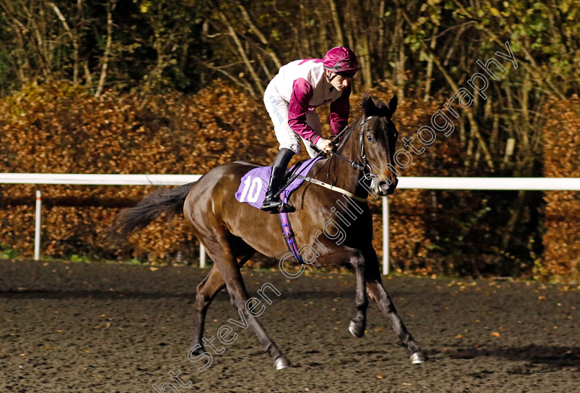 Diligent-Madam-0001 
 DILIGENT MADAM (Richard Kingscote)
Kempton 4 Dec 2024 - Pic Steven Cargill / Racingfotos.com