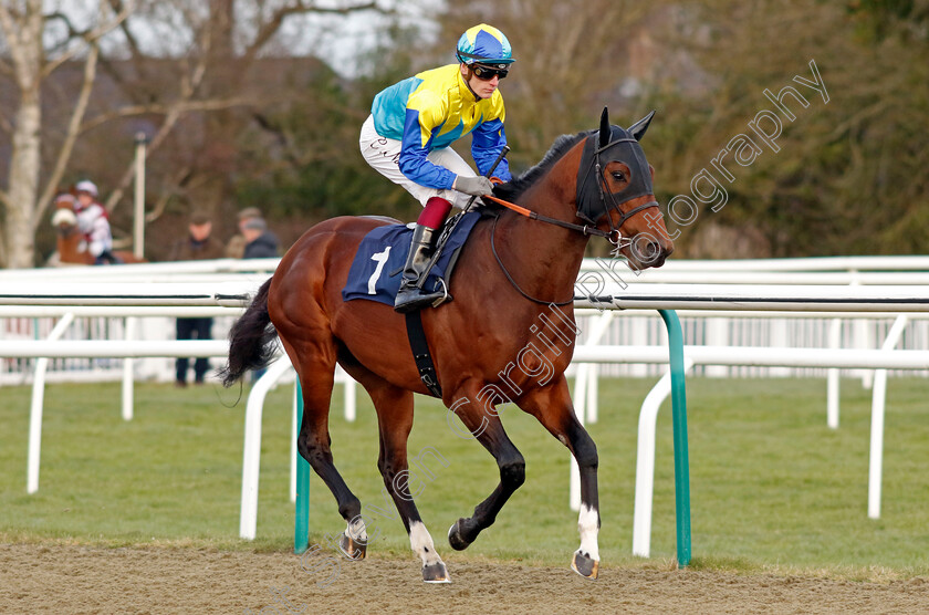 Dragon-Icon-0001 
 DRAGON ICON (Cameron Noble)
Lingfield 20 Jan 2024 - Pic Steven Cargill / Racingfotos.com