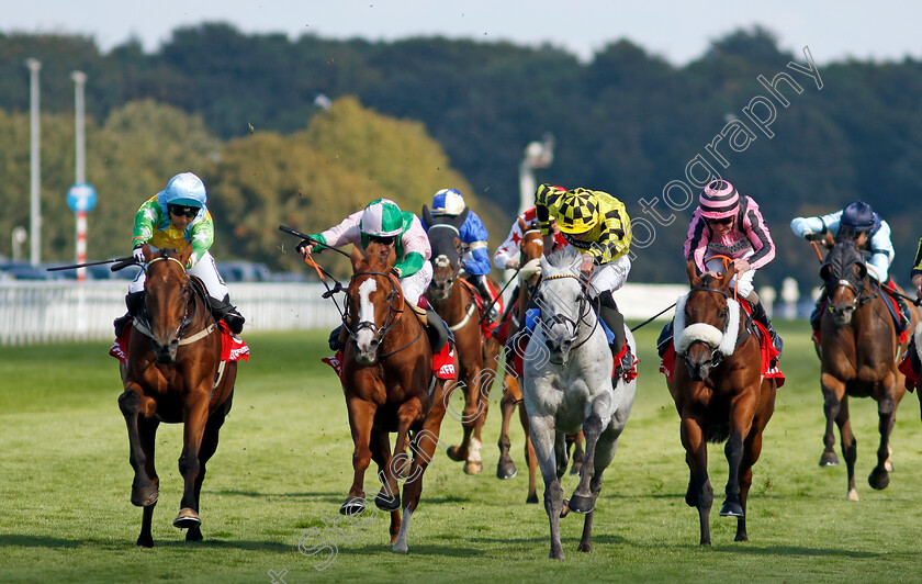 Faylaq-0004 
 FAYLAQ (left, Amie Waugh) beats SUBSEQUENT (2nd left) and SHADOW DANCE (centre) in The Betfred Mallard Handicap
Doncaster 13 Sep 2024 - Pic Steven Cargill / Racingfotos.com