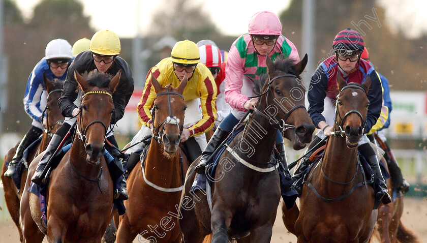 Baba-Ghanouj-0002 
 BABA GHANOUJ (left, David Probert) tracks THERMAL (centre, Rob Hornby) on her way to winning The Ladbrokes Home Of The Odds Boost Fillies Novice Stakes Div2
Wolverhampton 28 Nov 2018 - Pic Steven Cargill / Racingfotos.com