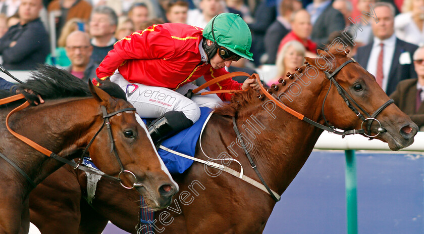 Rufus-King-0005 
 RUFUS KING (P J McDonald) beats PORTH SWTAN (left) in The Darley Nursery Newmarket 14 Oct 2017 - Pic Steven Cargill / Racingfotos.com