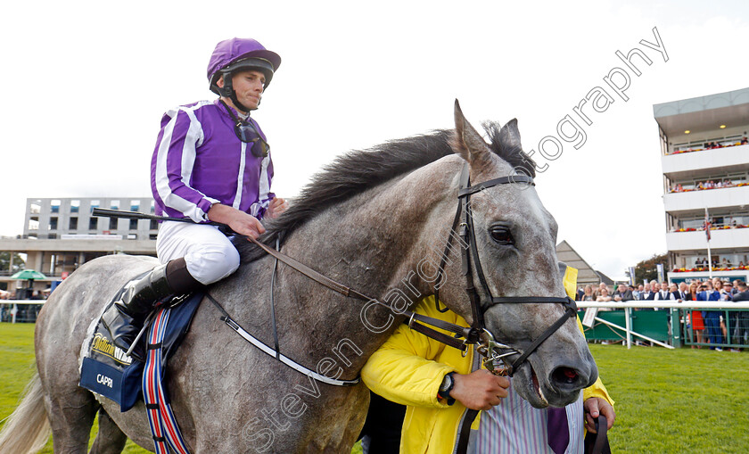 Capri-0014 
 CAPRI (Ryan Moore) after The William Hill St Leger Doncaster 16 Sep 2017 - Pic Steven Cargill / Racingfotos.com