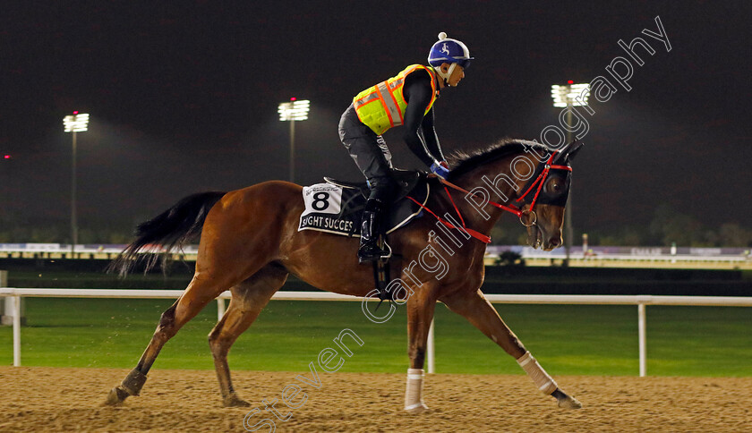 Sight-Success-0001 
 SIGHT SUCCESS training for The Al Quoz Sprint
Meydan Dubai 26 Mar 2024 - Pic Steven Cargill / Racingfotos.com