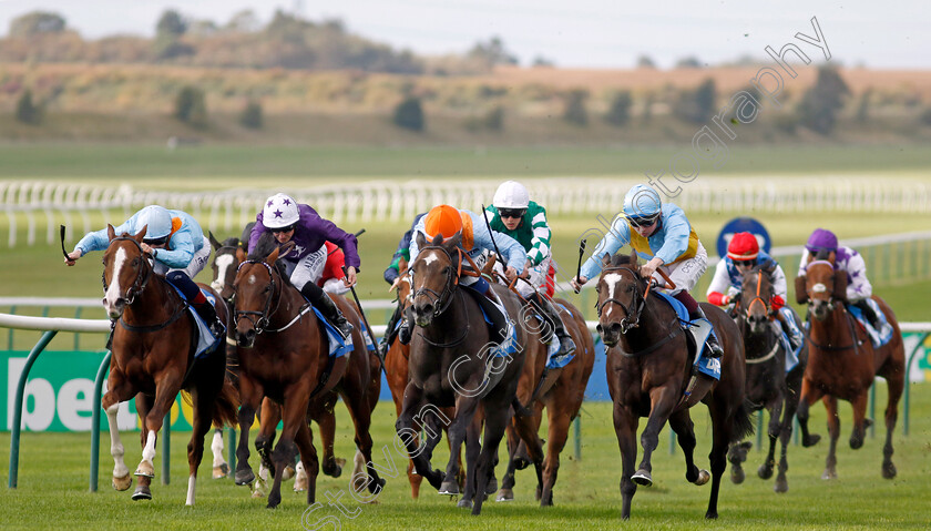 Rumstar-0006 
 RUMSTAR (right, Rob Hornby) beats MAYLANDSEA (2nd right) CRISPY CAT (2nd left) and PRINCE OF PILLO (left) in The Newmarket Academy Godolphin Beacon Project Cornwallis Stakes
Newmarket 7 Oct 2022 - Pic Steven Cargill / Racingfotos.com