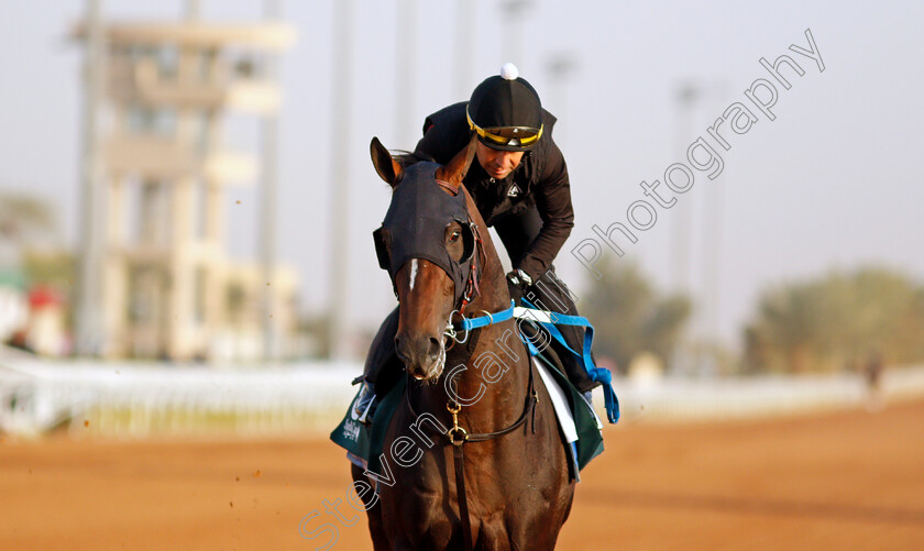 Midnight-Bourbon-0007 
 MIDNIGHT BOURBON training for the Saudi Cup
King Abdulaziz Racetrack, Riyadh, Saudi Arabia 24 Feb 2022 - Pic Steven Cargill / Racingfotos.com