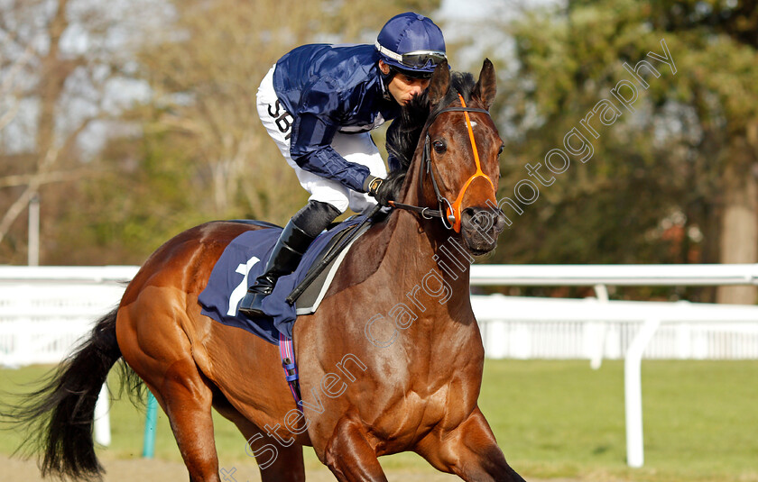 Big-Wing 
 BIG WING (Sean Levey)
Lingfield 5 Feb 2022 - Pic Steven Cargill / Racingfotos.com