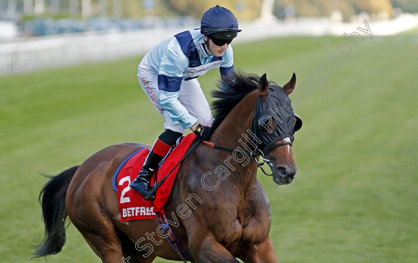 Citizen-General-0002 
 CITIZEN GENERAL (David Egan)
Doncaster 13 Sep 2024 - Pic Steven Cargill / Racingfotos.com