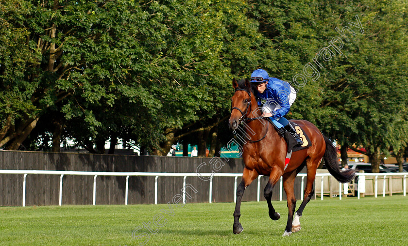 Hafit-0001 
 HAFIT (William Buick) winner of The Rich Club With Rich Energy British EBF Newcomers Maiden Stakes
Newmarket 6 Aug 2021 - Pic Steven Cargill / Racingfotos.com