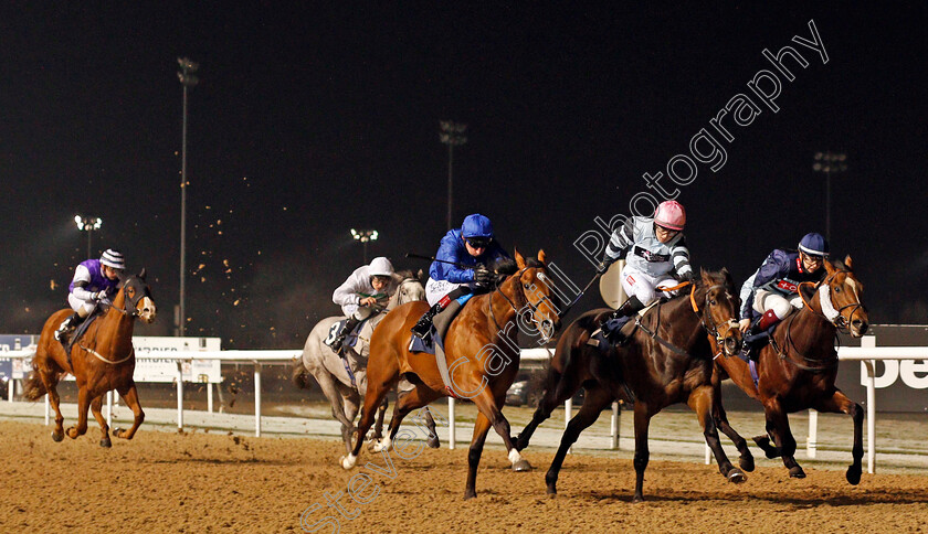 Castlebar-0002 
 CASTLEBAR (centre, Adam Kirby) beats WHOLELOTAFUN (right) and BOOK OF SECRETS (2nd right) in The Ladbrokes Watch Racing Online For Free Handicap
Wolverhampton 7 Jan 2021 - Pic Steven Cargill / Racingfotos.com