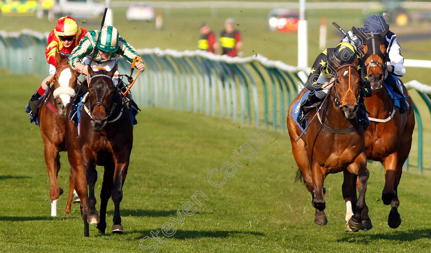 Arishka-0002 
 ARISHKA (left, Kieran O'Neill) beats HANAKOTOBA (right) in The Leaflabs Handicap
Nottingham 20 Apr 2019 - Pic Steven Cargill / Racingfotos.com