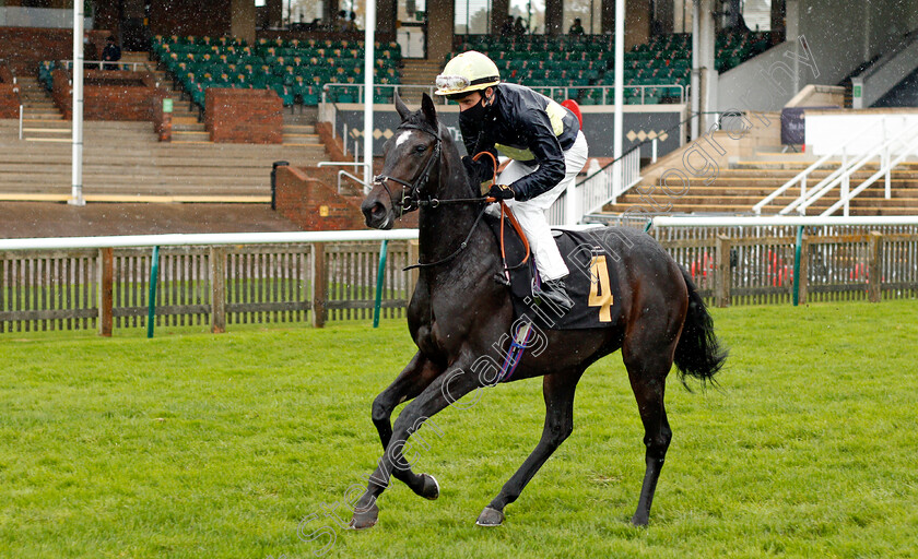 Glenartney-0001 
 GLENARTNEY (William Buick) winner of The Prestige Vehicles British EBF Fillies Novice Stakes Div2
Newmarket 31 Oct 2020 - Pic Steven Cargill / Racingfotos.com